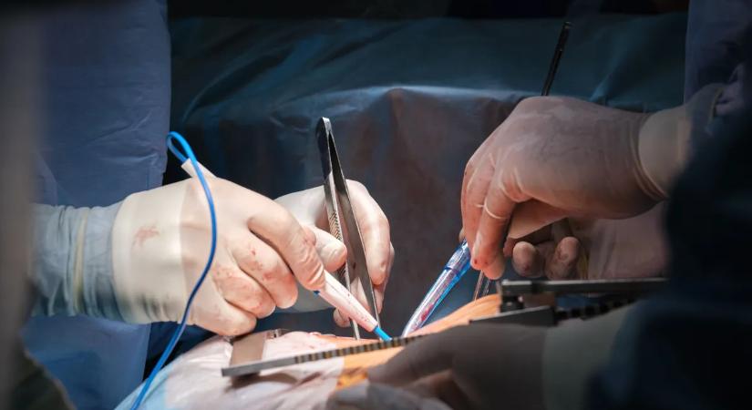 Aggódnak a színésznőért: a roham után agyműtéten esik át a híresség