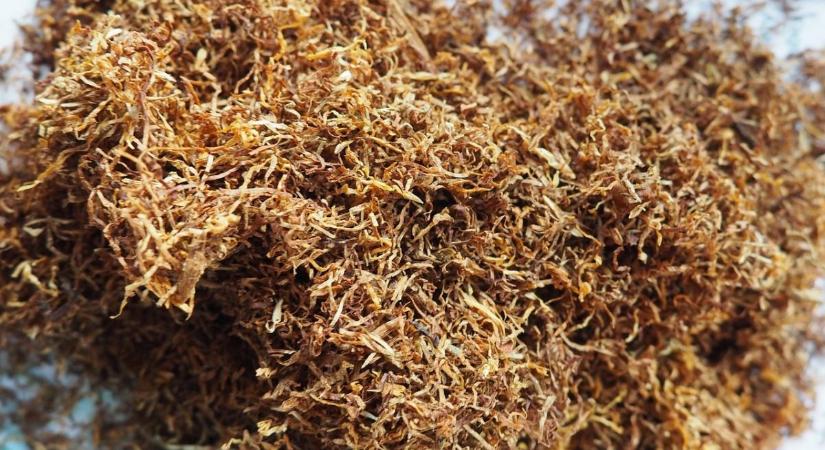 Közel 2 millió forint értékű adózatlan dohányt találtak egy békéscsabai férfinél, vádat emeltek ellene