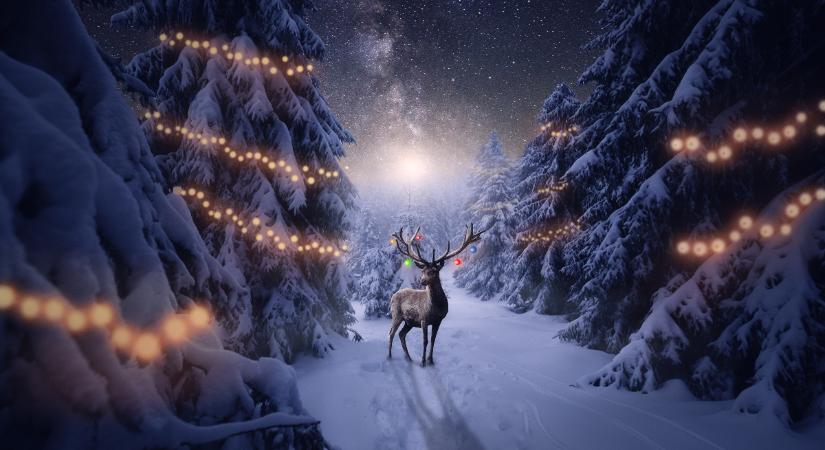 Heti holdhoroszkóp 2025. december 15-21.: az újhold új utakat nyit meg előttünk