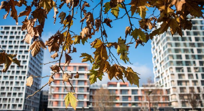 Újbuda: Elég volt a kiemelt óriásberuházásokból!