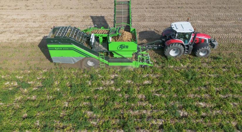 Burgonyabetakarítás professzionálisan az AVR gépével