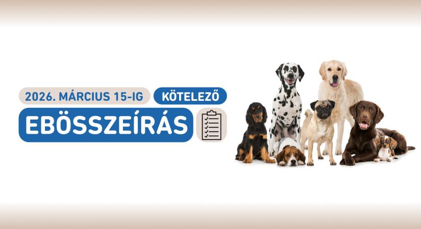 Kutyatulajdonosok figyelem! Ebösszeírás indult Győrben