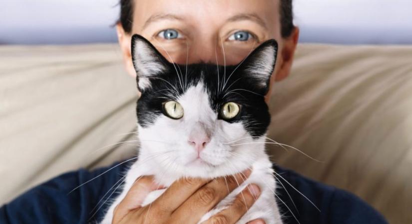 Így beszélj a macskádhoz, hogy biztosan tudja, neki szólsz