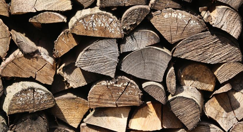 Idén is támadnak a tűzifacsalók