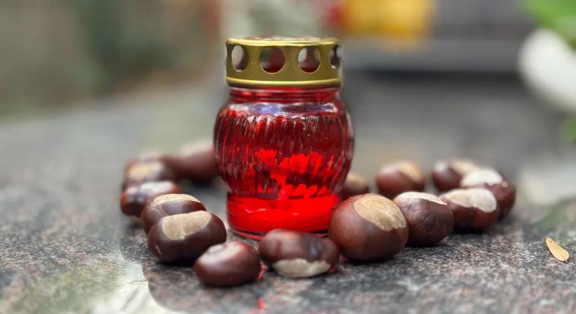 Három ember halt meg a bedrogozott sofőr miatt, aki most túl soknak tartja a 9 év börtönt