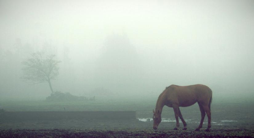Még egy darabig nem szabadulunk a hidegpárna alól