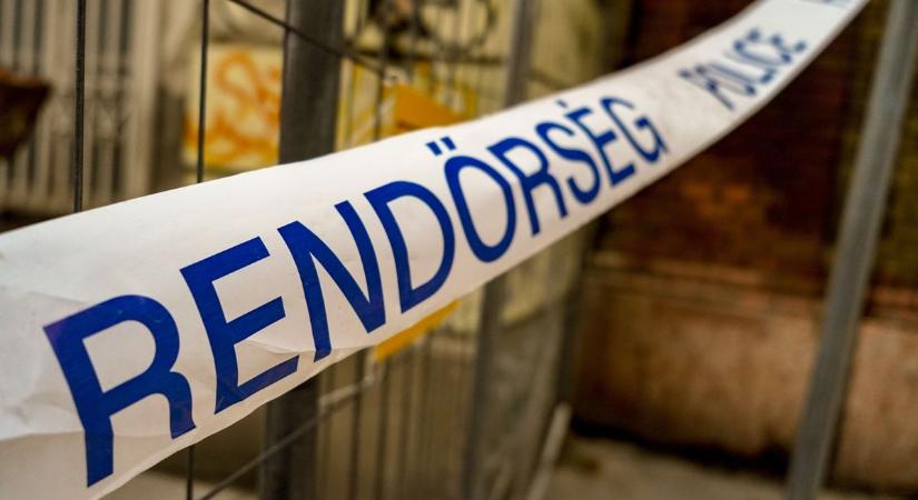 Segítsen, hogy hazataláljon:egyetlen információ is életet menthet, eltűnt egy 82 éves nő