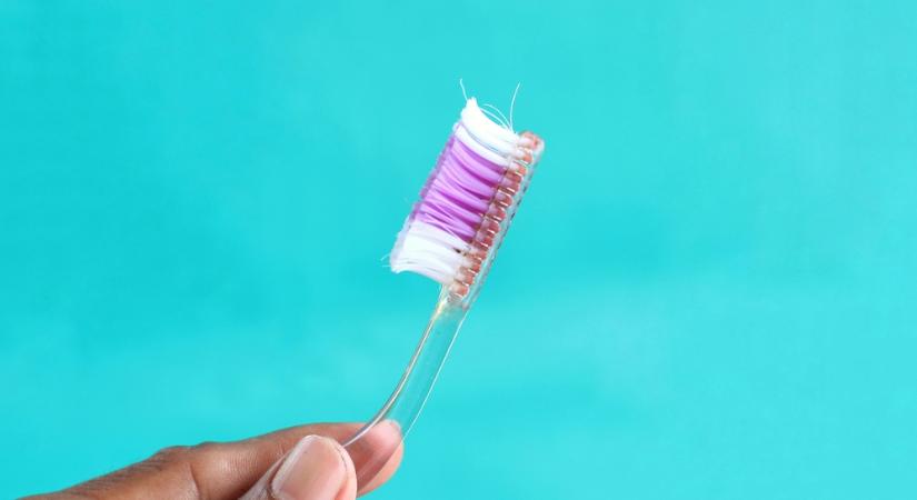 Mi minden nyüzsög a fogkefénk sörtéi között?