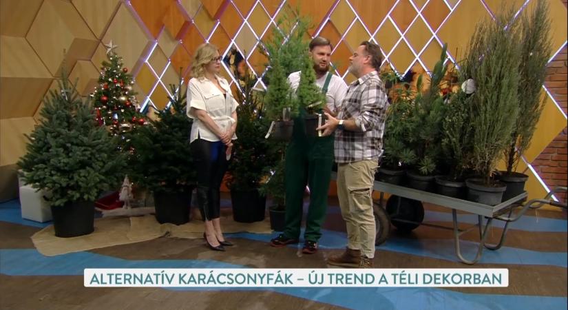 Alternatív karácsonyfák: örökzöld trendek a téli dekorációban