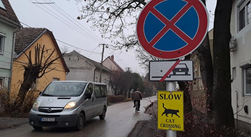 Macska az úton? Szegeden meglépték: talán rendszer lesz ebből a szokatlan közlekedési táblából