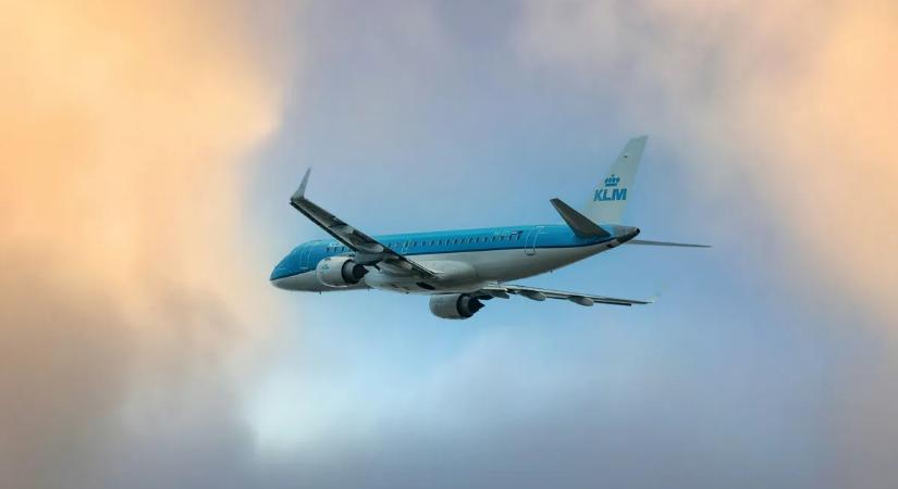 Pánik a fedélzeten, váratlan potyautas miatt kellett megszakítani az utat – videó