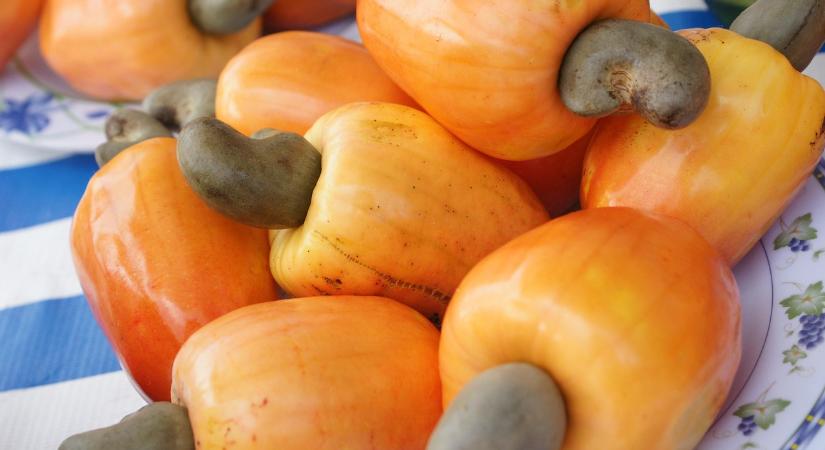 Nagyon mérgező lehet ez a kedvelt nassolnivaló, milliók eszik mégis