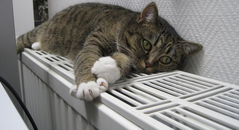 Mikroklíma-trükkök decemberre – így lesz 2–3 fok előnyöd