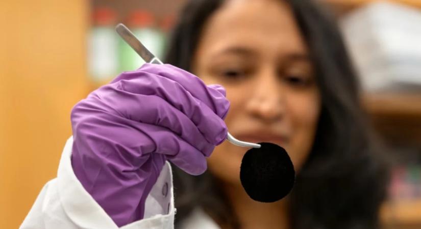 Új szuperfekete anyagra pöröghet rá a divatipar, amihez egy madár adta az ihletet