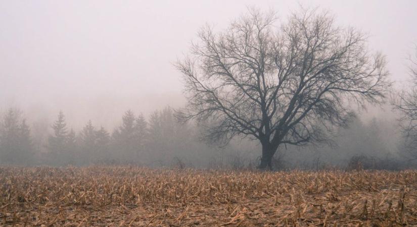 Időjárás: Erősödik a ködhajlam  VIDEÓ