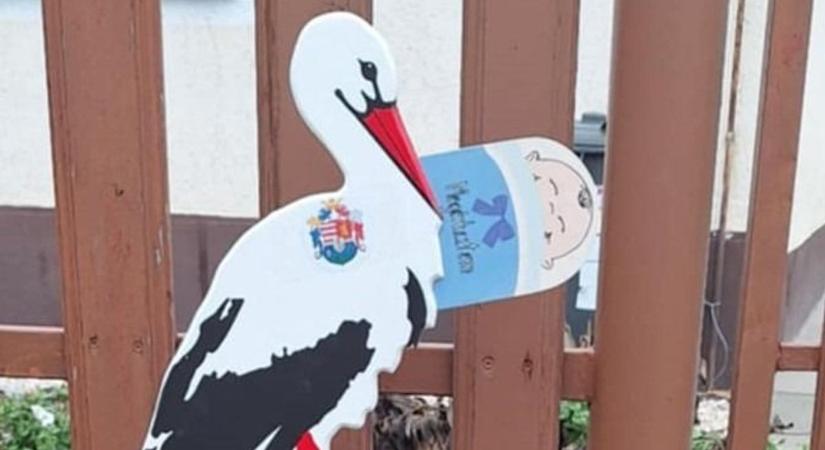 Eltűnt Dunaszentgyörgy gólyája az éjszaka közepén