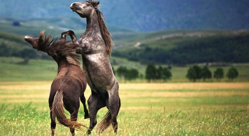 90 000 dollárral küzd a bitcoin, a japán jegybank visszarántja a kriptopiacot