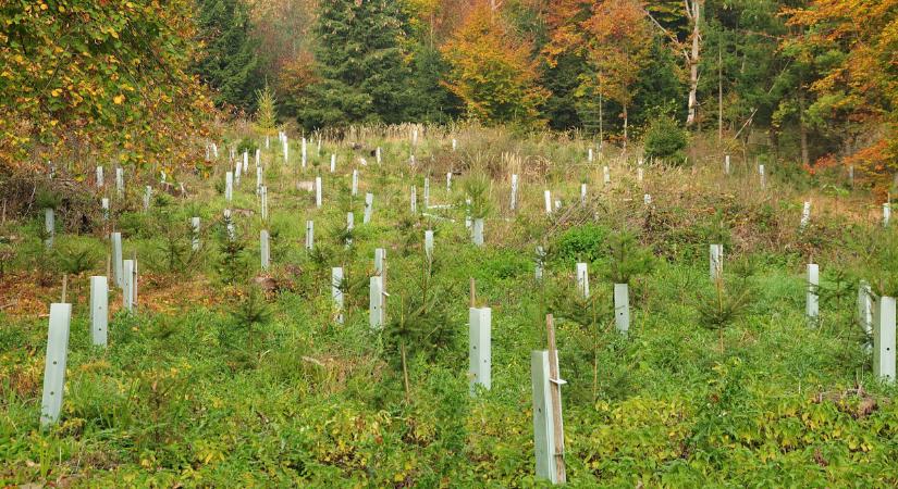 Fontos program indult: így oldanák meg hazánk egyik súlyos problémáját?