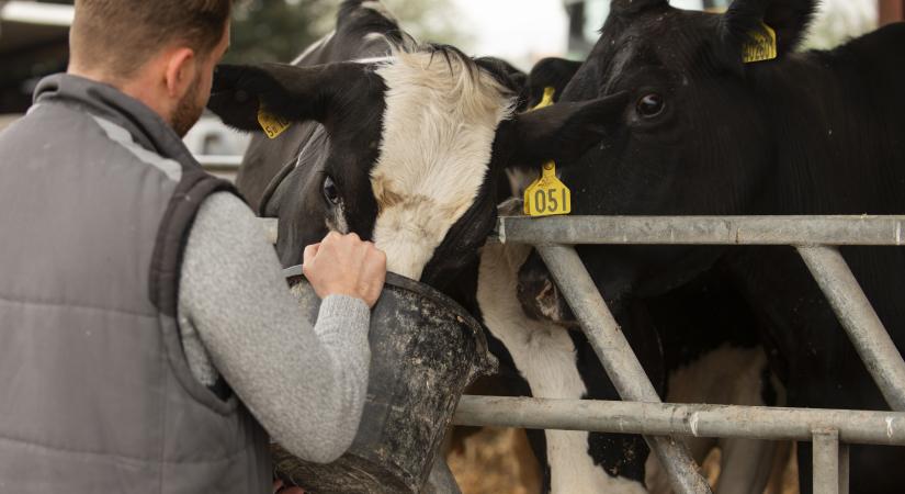 Hitelmoratóriummal segítik a gazdákat