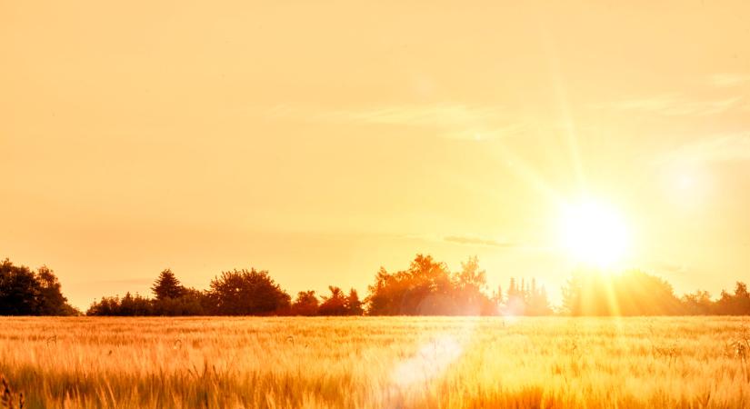 Breaking News! Megbízhatóan a csúcson – KWS OLTENIO – arany után egy ezüst is a főpályán!