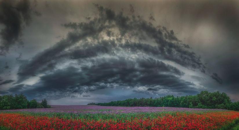 Fotópályázatból hagyomány: megnyílt az I. Panoráma Fotópályázat kiállítása