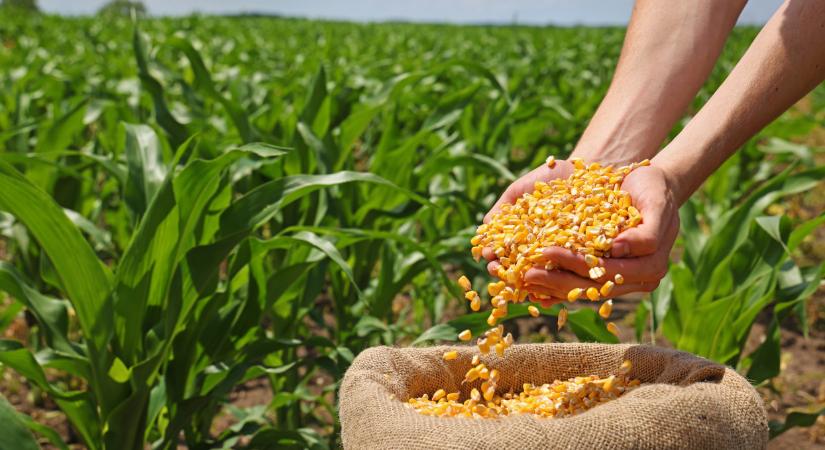 Az RGT Mogabrix lett a 2025-ös GOSZ–VSZT–NAK-kísérlet győztese