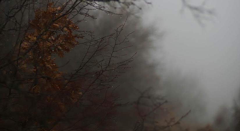 Folytatódik a borult, párás időjárás a jövő héten is