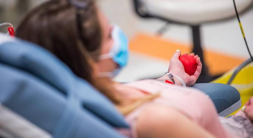 Egészségüket a vérükön keresztül adják el: van, akinek a karácsonyi vacsorát jelenti, ha megcsapolják