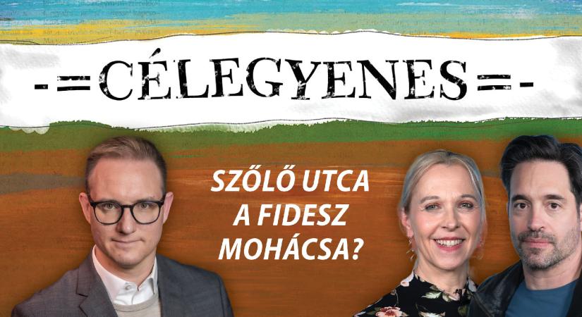 A Szőlő utca a Fidesz Mohácsa? – Célegyenes