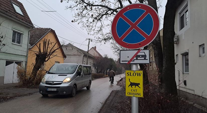 Vigyázz, macska! Így figyelmezetnek Szegeden a cicákra