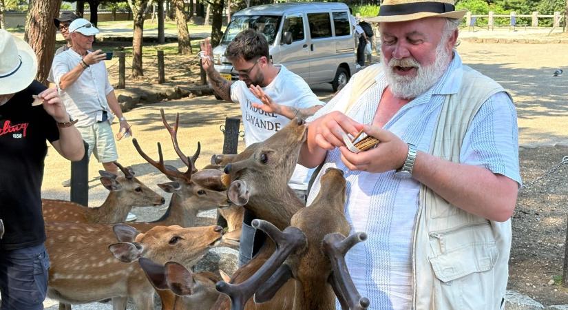 Jobb később, mint soha! teljes epizódok online – Csuja Imréék kalandjai az RTL-on