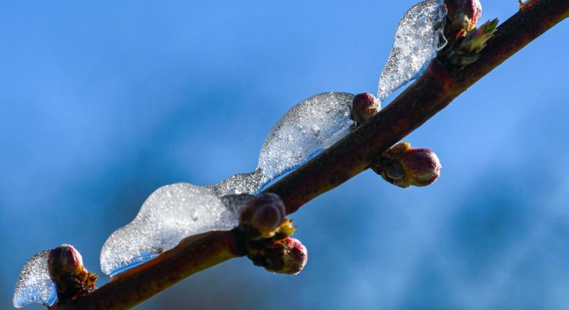 Most dől el, milyen tavaszunk lesz – ezt üzeni a Luca-naptár 2026-ra