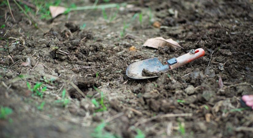 Szenzáció: honfoglaló magyarok elit harcosainak titkait tárták fel Bács-Kiskunban