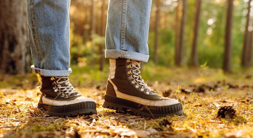 Több mint rejtélyes módon tűnt el egy 31 éves nő az erdőben