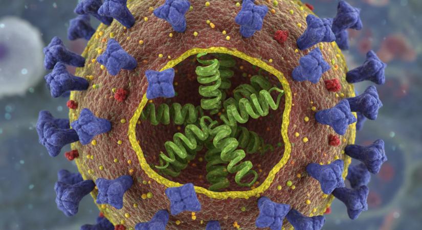 Kemenesi Gábor az influenzáról: kattintásvadász hírek, őrült nyilatkozatok