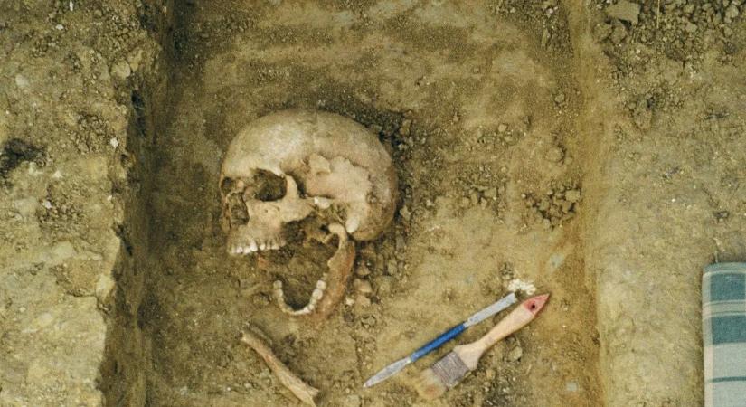 Új emberi ősfaj? Különleges leletre bukkantak tudósok