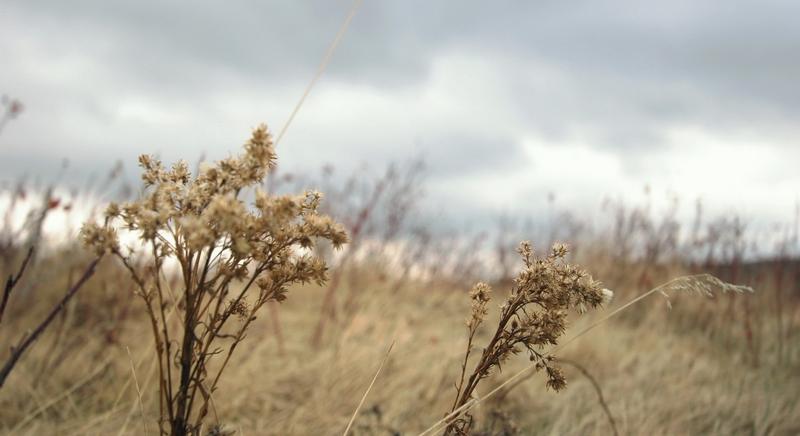 Időjárás helyett továbbra is időállás