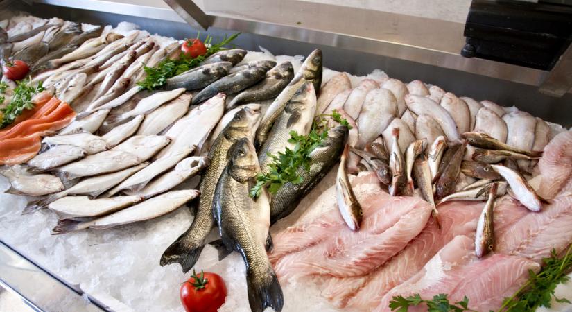 Halárak 2025: ennyiért vehetsz idén pontyot, harcsát a magyar boltokban