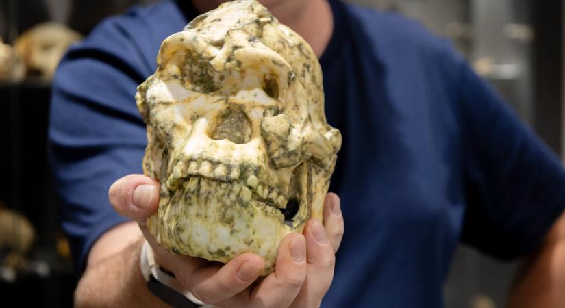 Új emberelődfajt fedezhettek fel Dél-Afrikában