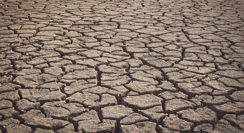 Hitelmoratóriumot kérhetnek a nehéz helyzetbe került gazdálkodók