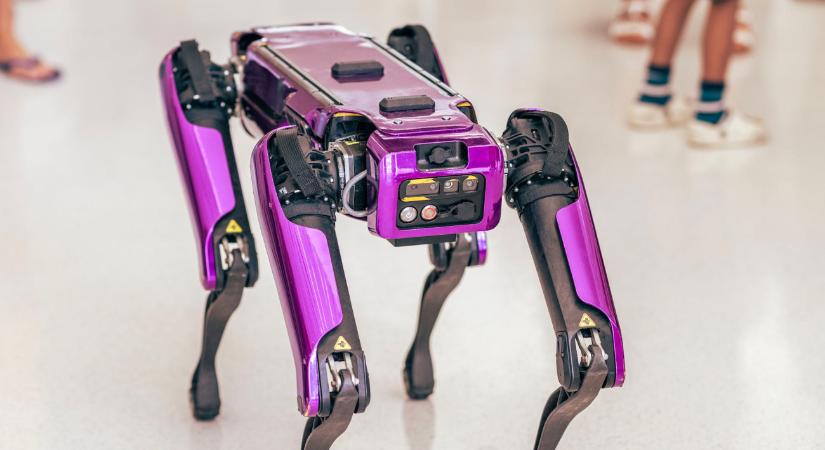 Japánban olyan robotkutyát mutattak be, amilyenre eddig nem volt példa – videó