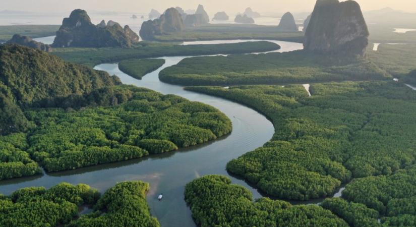 Egyre jobban bíznak a vállalatok a karbonkreditekben a Schneider Electric tanácsadó üzletágának, az SE Advisory Servicesnek a felmérése szerint