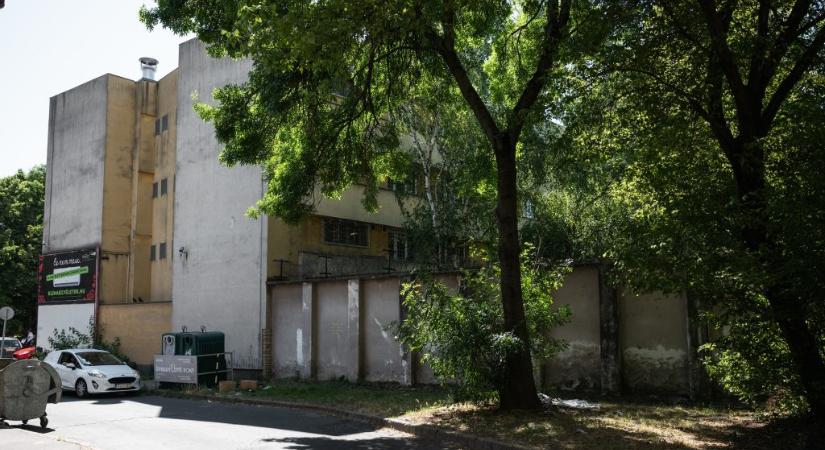 Telex: Így büntetnek és jutalmaznak a Szőlő utcában a házirend szerint