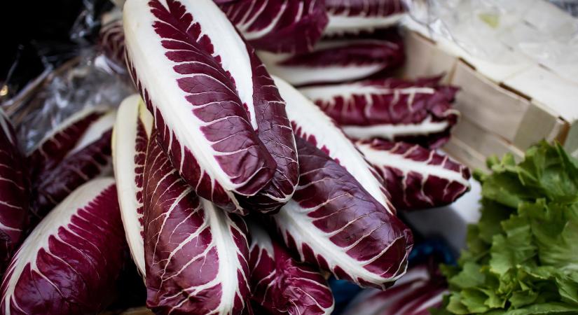 Erre a 10 receptre kerestek rá a magyarok