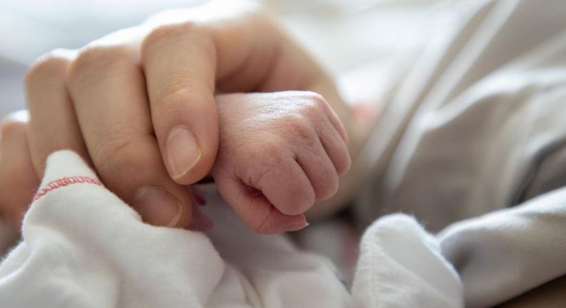 Kecskeméti anyakönyvi hírek, 49. hét