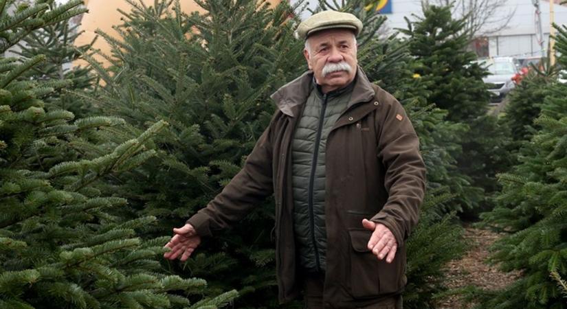 A barcsi erdőből egyenes út vezetett a Csiky színpadára