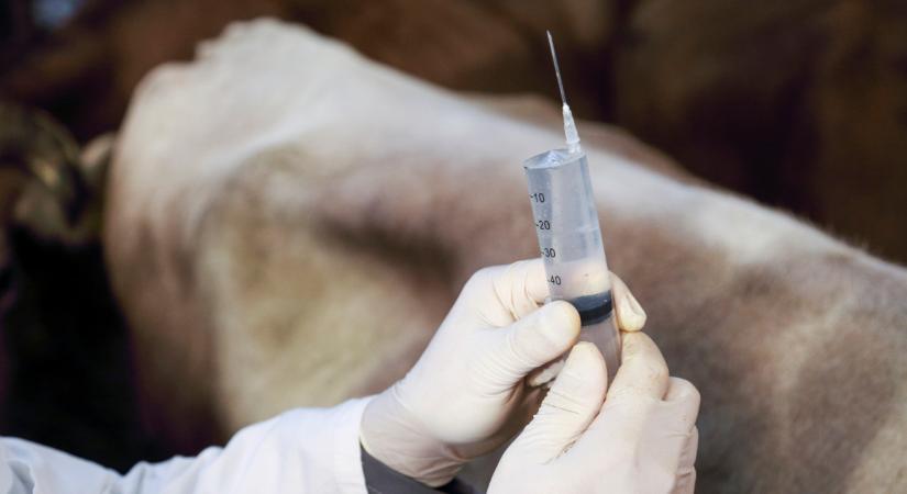 Ezt a jelentést sok magyar termelő nem adta le: a jövőben fontos lehet