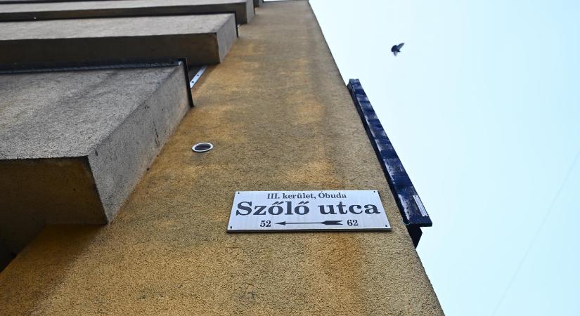 Édességgel és pizzával csak az igazgató és annak helyettese jutalmazhatott a Szőlő utcai javítóintézetben