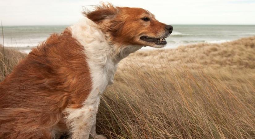 Időjárás: élénk, időnként akár erős széllökések is lehetnek kedden