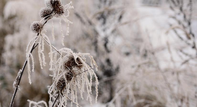 Fagyba burkolózott Székelyföld